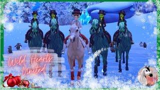 Wild Hearts United||Art of Dressage - Merry Mishap||December 2022