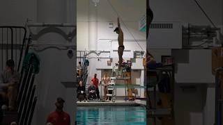 Adam Cohen | 303B 1m Springboard Diving #diving #shorts