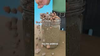 The Jar That Never Fills 