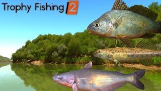 Trophy Fishing 2 |  скачал  попробовал удалил | смотреть с 10 минуты