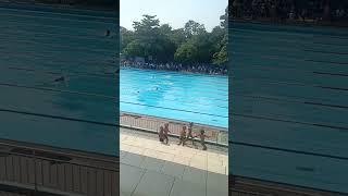 Lomba Renang Gaya Dada #renang #gayadada #lombarenang #olahraga #permainanair#latihanfisik #PRSI