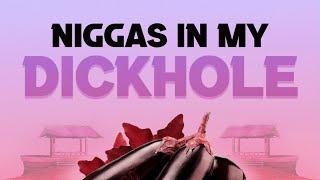 Nigpro - N*ggas in My D*ckhole [Visualizer]