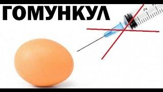 Гомункул спустя 9 месяцев