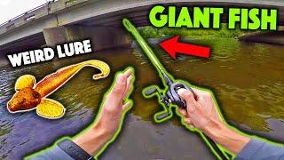 Giant Fish ATE MY BASS!!! Fishing A Weird Soft Plastic From Ukraine