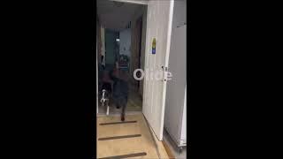 Olide Wireless Remote Control Automatic Swing Door Opener, Electric Door Operator for Pets
