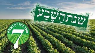 שנת השבע  יגאל פרידמן סרטי תדמית