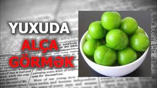 Yuxuda Alça Görmək - alca yuxu yozma - yuxuda göycə görmək