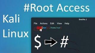 How to SET Default Terminal Root, Skip Typing sudo su Every Time! - Kali Linux