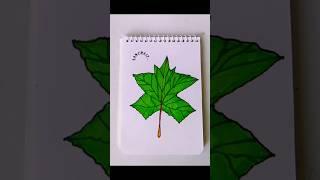 Leaf #foryou #sanjida17 #leaf #world #shorts #trending