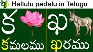 Telugu Hallulu words | Telugu varnamala Hallulu padalu | Hallulu in telugu | Telugu consonants words