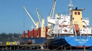 Log Ship Loading at Ocean Terminals on Coos Bay