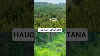 Hidden Montana Log Cabin on 20 Acres – Backed by State Land