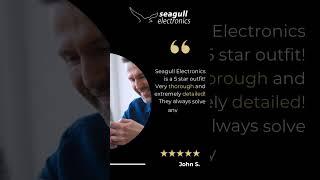 Experience Excellence Amplified with Seagull Electronics