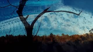 the only home weve ever known (Shadows for Permut8)