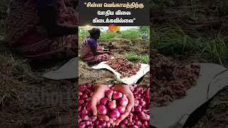 Dindigul | Oddanchatram Market | Small Onions | Farmers | Agriculture | Shorts | Sun News