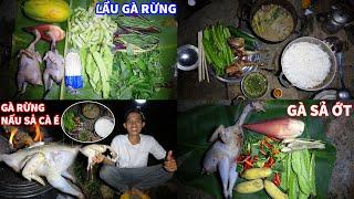 SĂN GÀ RỪNG FULL TẬP