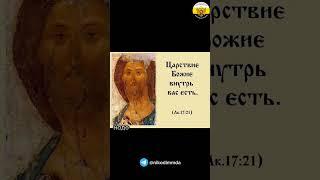 С началом Рождественского поста!#рождественский_пост #православные_праздники #шортс #проповедь