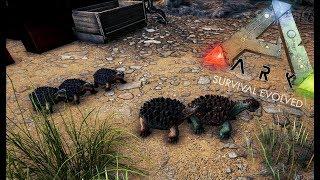 ВЫРАЩИВАЕМ ДИНО ДЛЯ РЕЙДОВ И БОССОВ! (1 ДЕНЬ ИЗ ЖИЗНИ ТРАЙБА) ► Ark: Survival Evolved #6