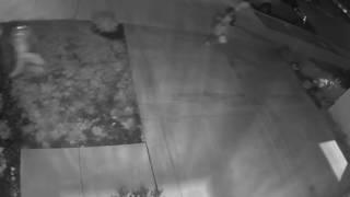 NEW Netgear Arlo Pro Video Captures