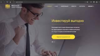 Regulus invest-вывод денег на Яндекс кошелёк