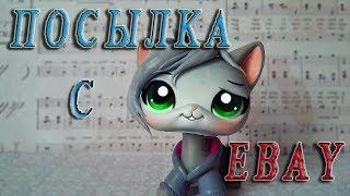 LPS: ПОСЫЛКА С EBAY!!*^*