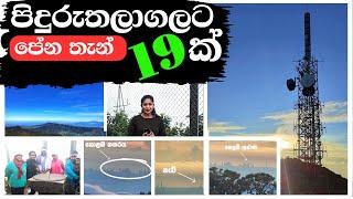 පිදුරුතලාගලට පේන තැන් 19ක් | Top of iduruthalagala mountain piduruthalagala kanda travel