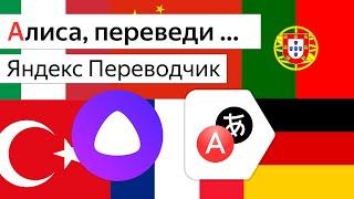 Яндекс Переводчик в Алиса, Станция Лучше чем Google Ассистент и Siri?