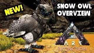 SNOW OWL OVERVIEW! ARK: Extinction