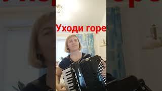 Уходи горе на аккордеоне, Любовь Гришанова