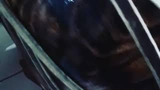 Hasil karya BUCRAK PROD yg istimewa