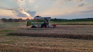 Dreschen mit dem Claas Dominator maxi 108sl! SOUND! GOPRO!