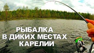 РЫБАЛКА В ПЕРВЫЙ ДЕНЬ ЛЕТА. РЫБА ЗА РЫБОЙ ТАКОГО НЕ ОЖИДАЛ! Рыбалка на лесном озере в июне 2025