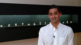 Netsuke/ A Curator's Perspective