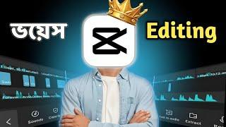 How to Perfectly Edit Audio Like a Pro | CapCut ভয়েস এডিটিং সহজে