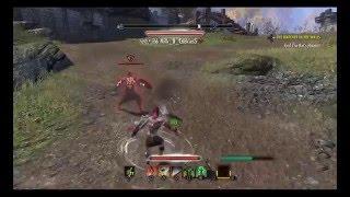 ESO pvp - Stamina Dragonknight battle of the tanks, dk vs dk got interrupted