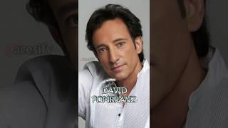 Harmonies that Resonate Globally: A Musical Journey | Commentary | Facesify #davidpomeranz #singer