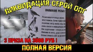 Ликвидация серой ОПГ. Crow Hunting. Кроухантинг. Corvus corone cornix