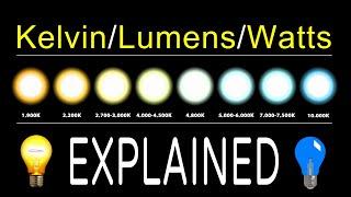 How To Chose LED Bulbs | Kelvin, Lumens, & Watts EXPLAINED!