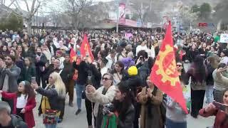 Dersim'de 8 Mart Dünya Kadınlar Günü kutlandı: İnadına barış diyeceğiz