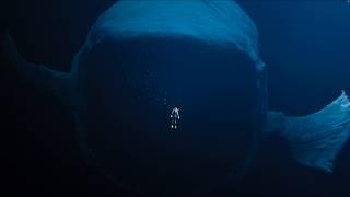 The Bloop spotted (thalassophobia animation)