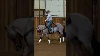 Fencing and Rundowns With Prada
