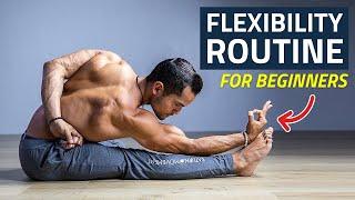 Daily Full Body Flexibility Routine - Yoga Flow for Beginners (Follow Along)