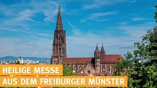 Frühmesse live aus Freiburg (katholischer Gottesdienst) - 24.10.2024