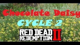 RDR2 Chocolate Daisy Flower Locations (Cycle 2)