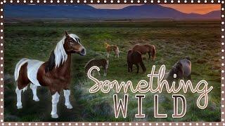 Something Wild | Full MEP | Star Stable