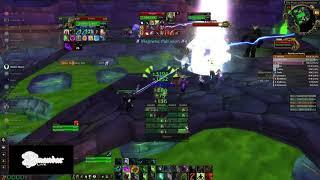 Naxxaramas 25 Raid boss fights - Xmandar resto druid 20 man