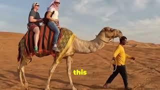 Dubai Desert Safari: Ultimate Adventure Guide!