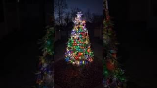 J&D Gardens Christmas tree 2024