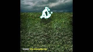 Ween Archived Presents - The Enemies EP