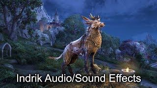 Nascent Indrik Sounds ESO (New Mount Audio)